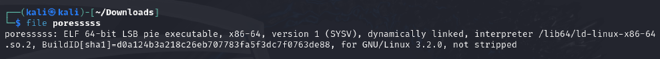 Perfectroot CTF